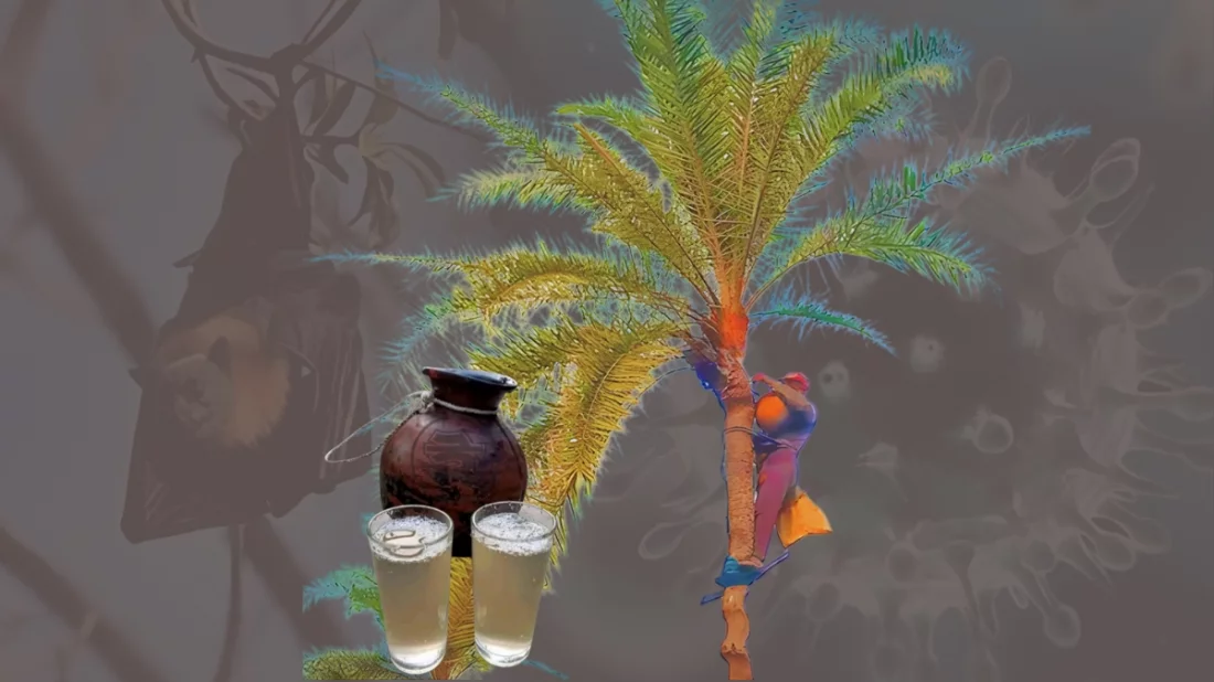 মহামারী রুপ নিতে যাচ্ছে নিপাহ ভাইরাস, হাসপাতালগুলোকে প্রস্তুত থাকার নির্দেশ